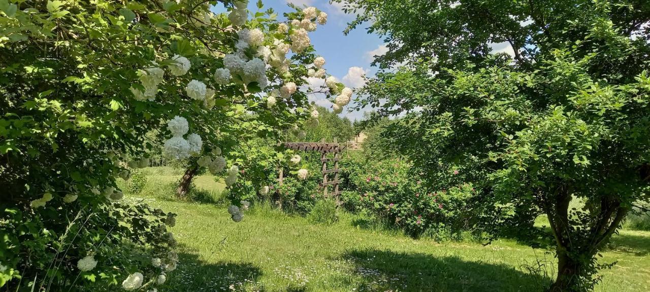 Dom Goscinny Lerka - 240 M2 Mazury Jeziora Lasy Lakorz Екстер'єр фото