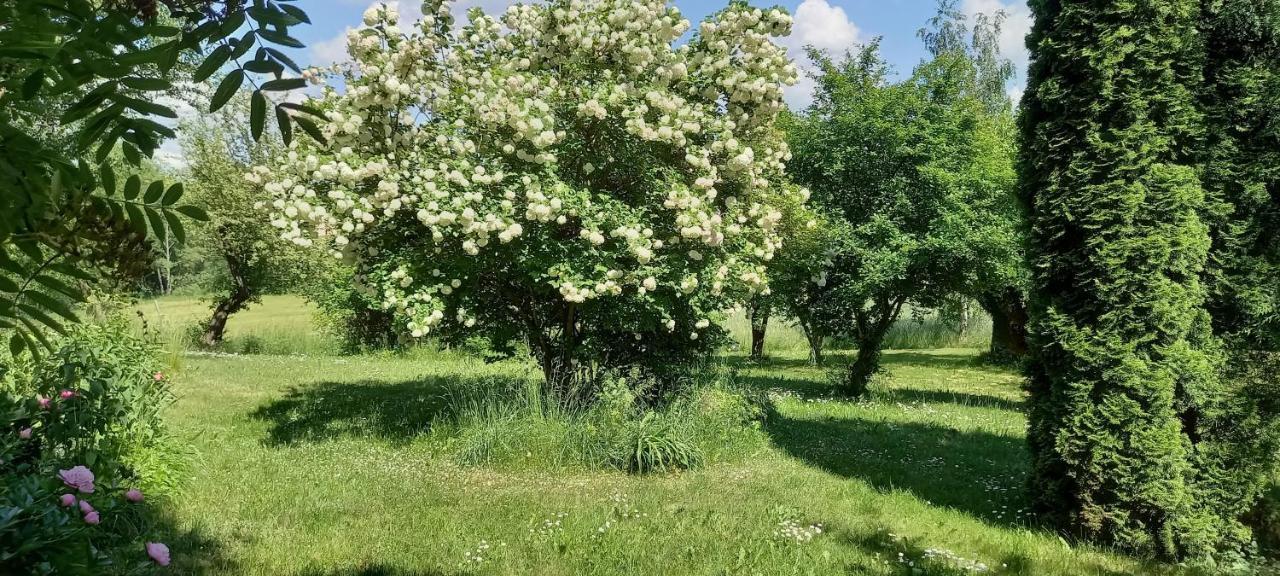Dom Goscinny Lerka - 240 M2 Mazury Jeziora Lasy Lakorz Екстер'єр фото