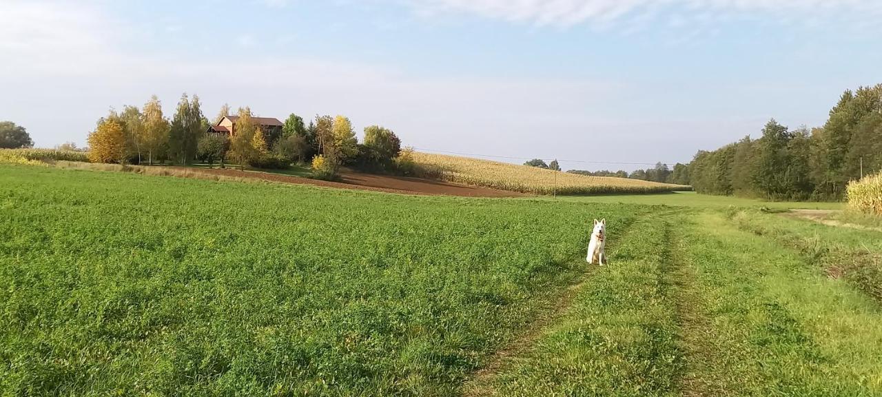 Dom Goscinny Lerka - 240 M2 Mazury Jeziora Lasy Lakorz Екстер'єр фото