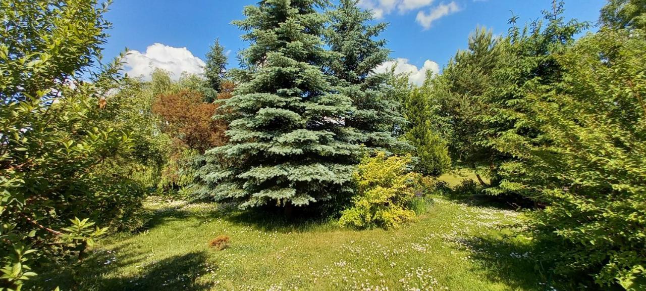 Dom Goscinny Lerka - 240 M2 Mazury Jeziora Lasy Lakorz Екстер'єр фото