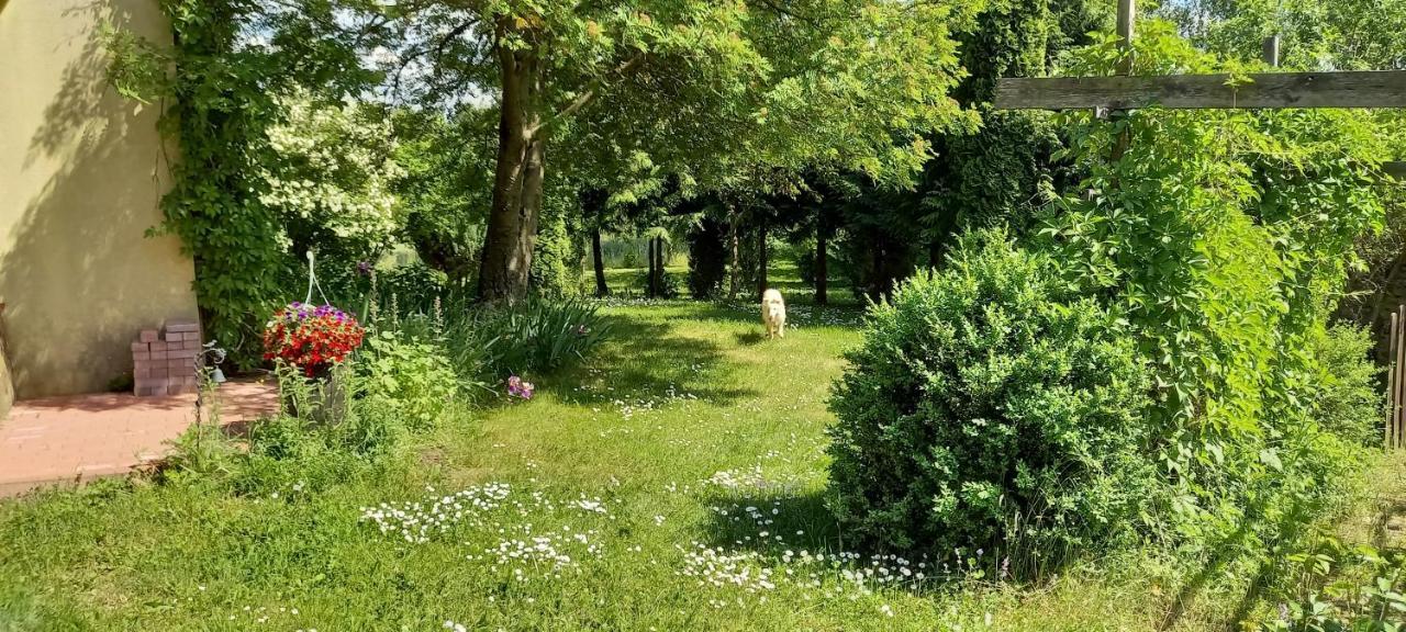 Dom Goscinny Lerka - 240 M2 Mazury Jeziora Lasy Lakorz Екстер'єр фото
