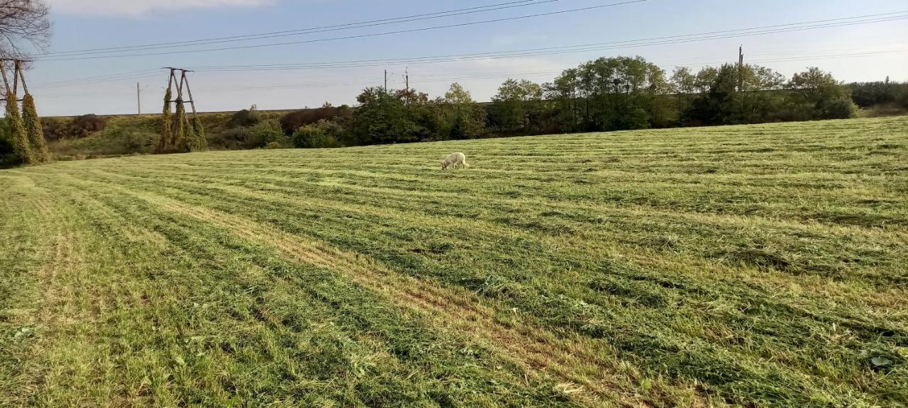 Dom Goscinny Lerka - 240 M2 Mazury Jeziora Lasy Lakorz Екстер'єр фото